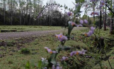 Loteo urbanizado Villarrica a Pucón