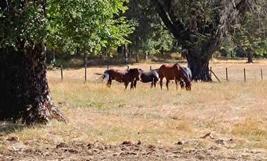 Loteo urbanizado Villarrica a Pucón