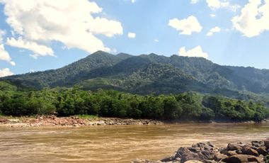 6 Hectareas en Chazuta a orillas del rio: Tu sueño empieza Hoy!