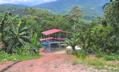 6 Hectareas en Chazuta a orillas del rio: Tu sueño empieza Hoy!