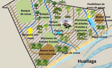 6 Hectareas en Chazuta a orillas del rio: Tu sueño empieza Hoy!