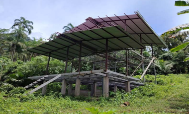 6 Hectareas en Chazuta a orillas del rio: Tu sueño empieza Hoy!