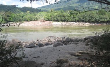 6 Hectareas en Chazuta a orillas del rio: Tu sueño empieza Hoy!