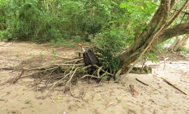 6 Hectareas en Chazuta a orillas del rio: Tu sueño empieza Hoy!