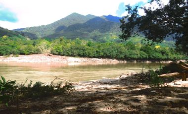 6 Hectareas en Chazuta a orillas del rio: Tu sueño empieza Hoy!