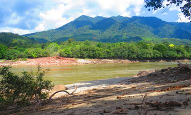 6 Hectareas en Chazuta a orillas del rio: Tu sueño empieza Hoy!
