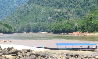 6 Hectareas en Chazuta a orillas del rio: Tu sueño empieza Hoy!