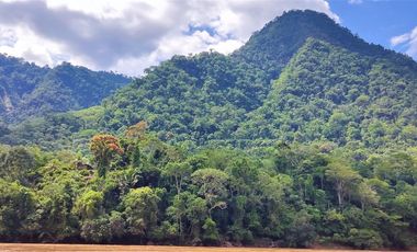 6 Hectareas en Chazuta a orillas del rio: Tu sueño empieza Hoy!