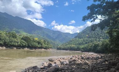 6 Hectareas en Chazuta a orillas del rio: Tu sueño empieza Hoy!