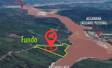 6 Hectareas en Chazuta a orillas del rio: Tu sueño empieza Hoy!