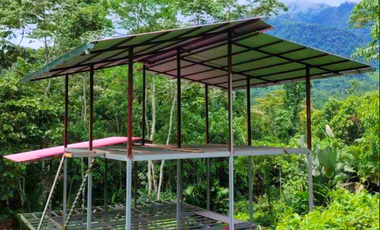 6 Hectareas en Chazuta a orillas del rio: Tu sueño empieza Hoy!