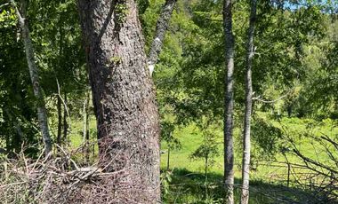 En venta parcela con vista al volcán Villarrica y acceso a rio Melilahuen