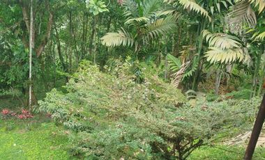 VENDO HERMOSA QUINTA AMOBLADA, PEDRO VICENTE MALDONADO