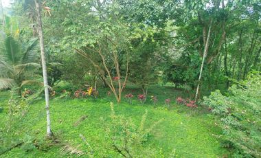 VENDO HERMOSA QUINTA AMOBLADA, PEDRO VICENTE MALDONADO