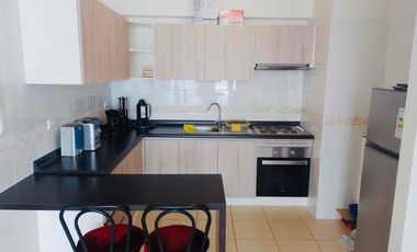 ARRIENDO DEPARTAMENTO AMOBLADO AÑO CORRIDO (3H/2B/1E)