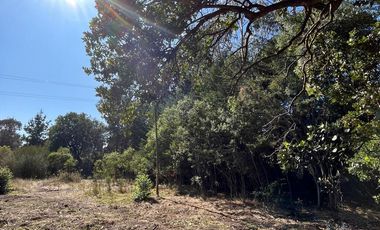 TERRENO VILLA ITALIA