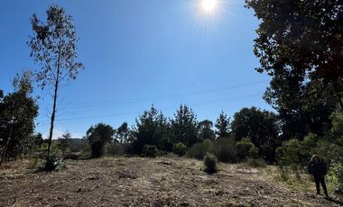 TERRENO VILLA ITALIA