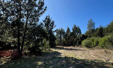 TERRENO VILLA ITALIA