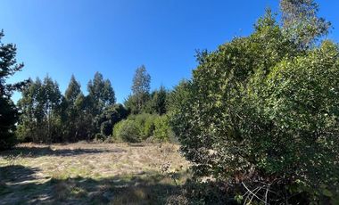 TERRENO VILLA ITALIA