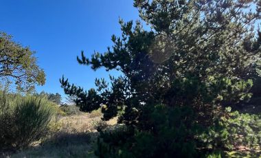 TERRENO VILLA ITALIA