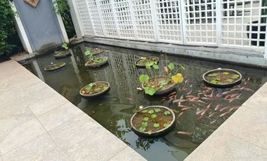 Dijual Rumah Baru 2 Lantai Cluster Podomoro di Daerah Duren Sawit Jakarta Timur