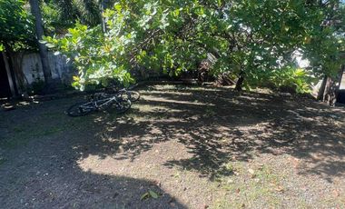 PRIME CORNER LOT FOR SALE IN BF HOMES, PARANAQUE