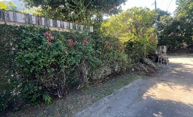 PRIME CORNER LOT FOR SALE IN BF HOMES, PARANAQUE