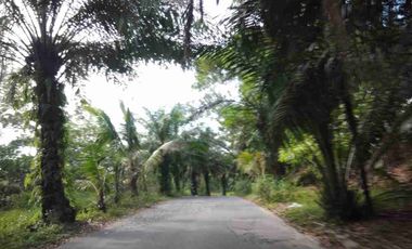 Jual Cepat Murah Rumah di Palm Hills Pavilion Sepinggan Balikpapan Selatan