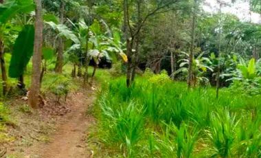 RUMAH SHM HITUNG HARGA TANAH SAJA DI KROYA CILACAP