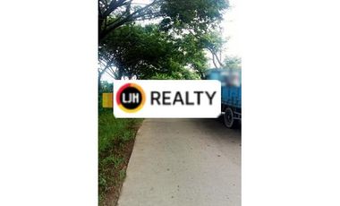 Kavling di DS Loireng Sayung Demak