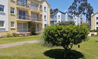 Departamento año corrido Algarrobo