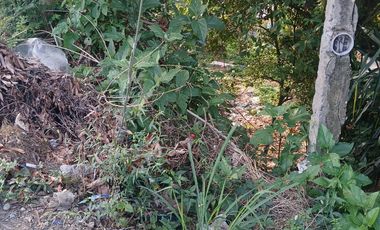 TERRENO VENTA COATZINTLA VER