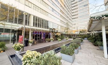 Departamento en Renta en Carso Toreo, Vistas del Bosque Polanco