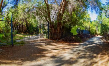 Venta de lindo terreno con cabaña en Diaguitas (Vicuña), Valle del Elqui. $90 millones