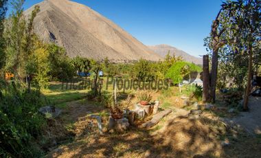 Venta de lindo terreno con cabaña en Diaguitas (Vicuña), Valle del Elqui. $90 millones