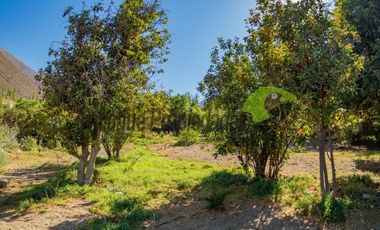 Venta de lindo terreno con cabaña en Diaguitas (Vicuña), Valle del Elqui. $90 millones