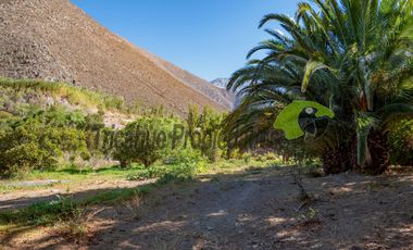 Venta de lindo terreno con cabaña en Diaguitas (Vicuña), Valle del Elqui. $90 millones