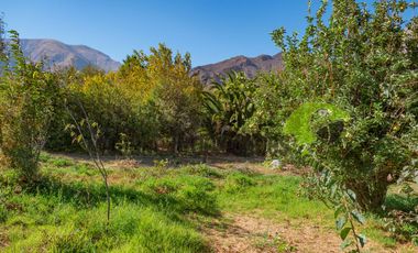Venta de lindo terreno con cabaña en Diaguitas (Vicuña), Valle del Elqui. $90 millones