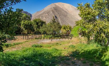 Venta de lindo terreno con cabaña en Diaguitas (Vicuña), Valle del Elqui. $90 millones