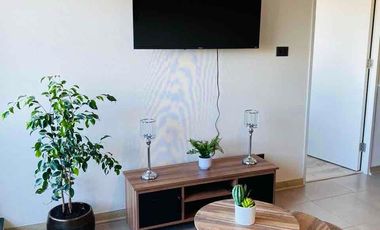 ARRIENDO DIARIO AMOBLADO  EN EDIFICIO PIE DE MONTE