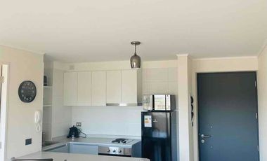 ARRIENDO DIARIO AMOBLADO  EN EDIFICIO PIE DE MONTE