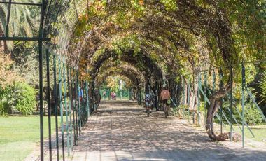 Arriendo Depto En Manuel De Salas 255, Ñuñoa