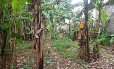 Disewakan Tanah Luas Pinggir Jalan Raya R3 Bogor