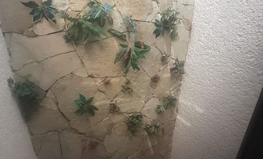 🏡 Casa en Renta | El Mirador | 3 Recámaras | $16,500