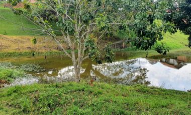 SE VENDEN LOTES EN CERRITOS,PEREIRA, DE 2.000 M2