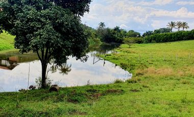 SE VENDEN LOTES EN CERRITOS,PEREIRA, DE 2.000 M2