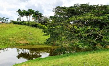 SE VENDEN LOTES EN CERRITOS,PEREIRA, DE 2.000 M2