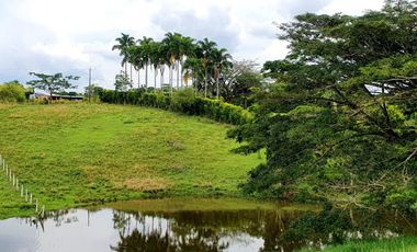 SE VENDEN LOTES EN CERRITOS,PEREIRA, DE 2.000 M2