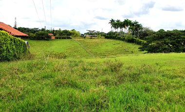 SE VENDEN LOTES EN CERRITOS,PEREIRA, DE 2.000 M2