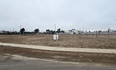 TERRENO EN VENTA 136 M2 ALAMEDA LIMA SUR - CHILCA